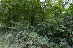 property photo for Springlake Plat 4 Tract 67, 0.19 acres for sale in Miller County, Missouri