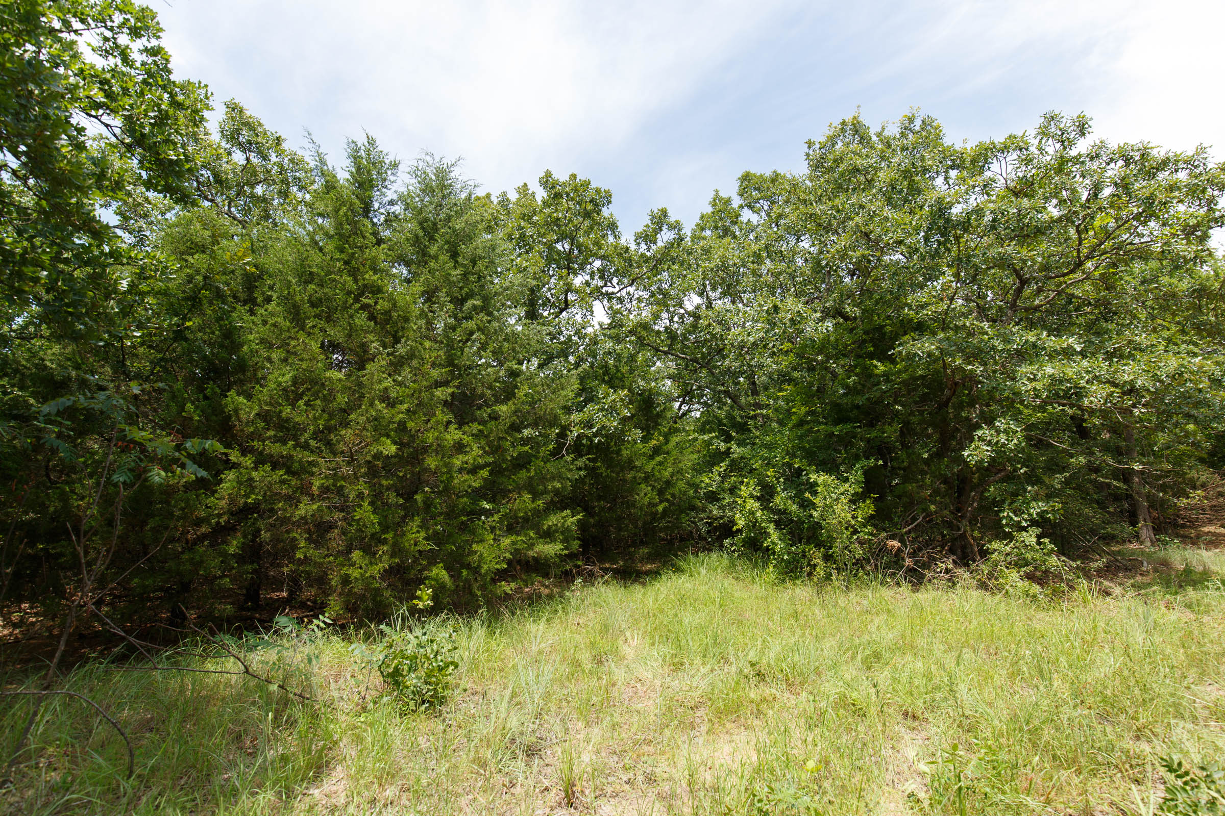 Tract 1 at Timber Ridge in McIntosh County, Oklahoma