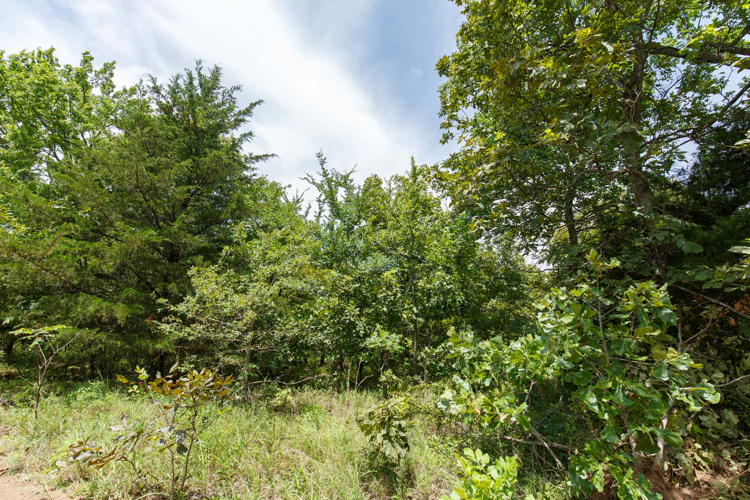 Tract 10 at Timber Ridge in McIntosh County, Oklahoma