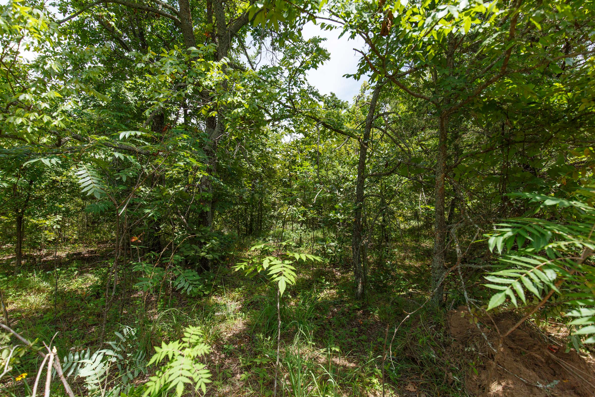Tract 11 at Timber Ridge in McIntosh County, Oklahoma