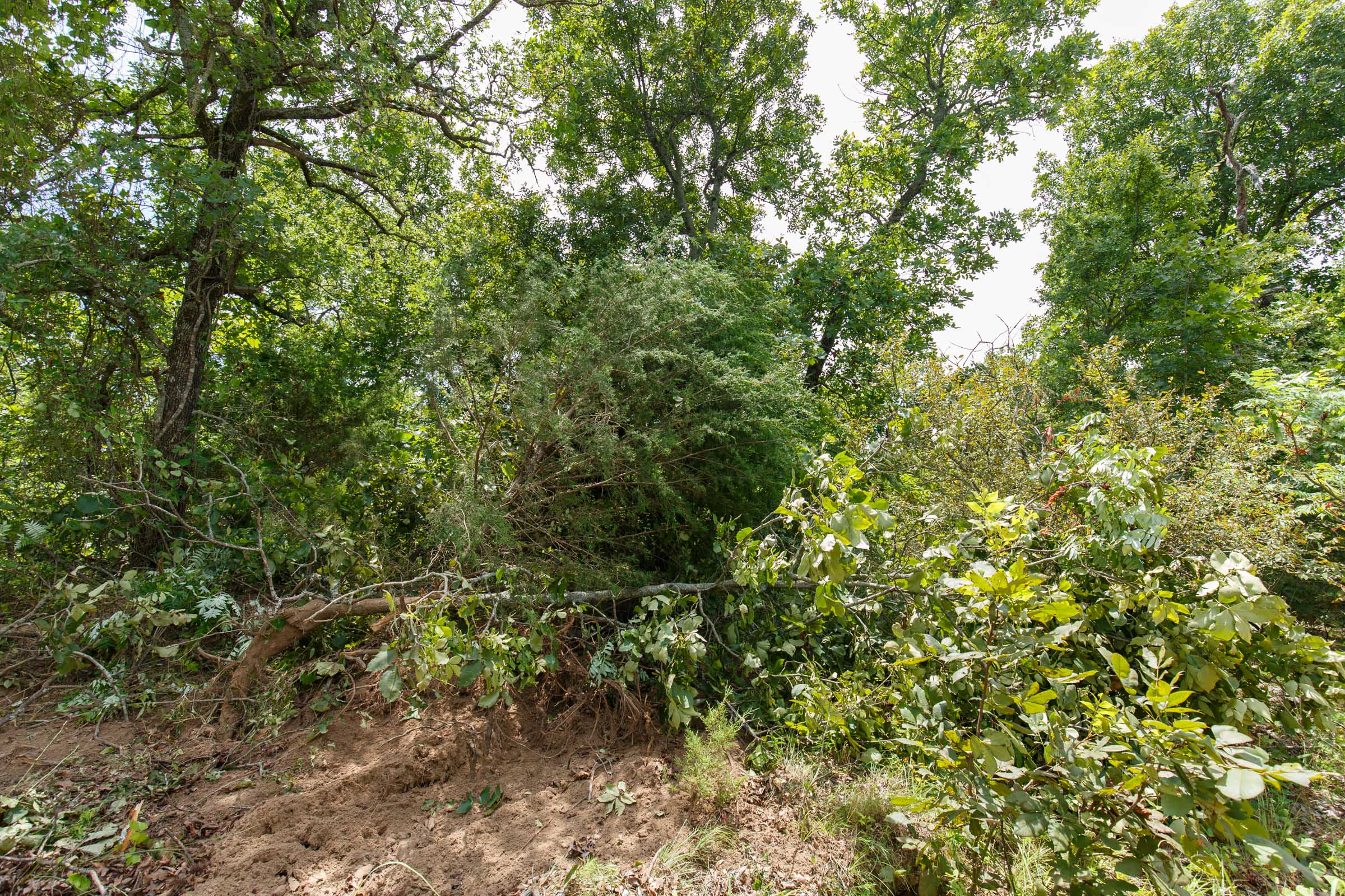 Tract 15 at Timber Ridge in McIntosh County, Oklahoma