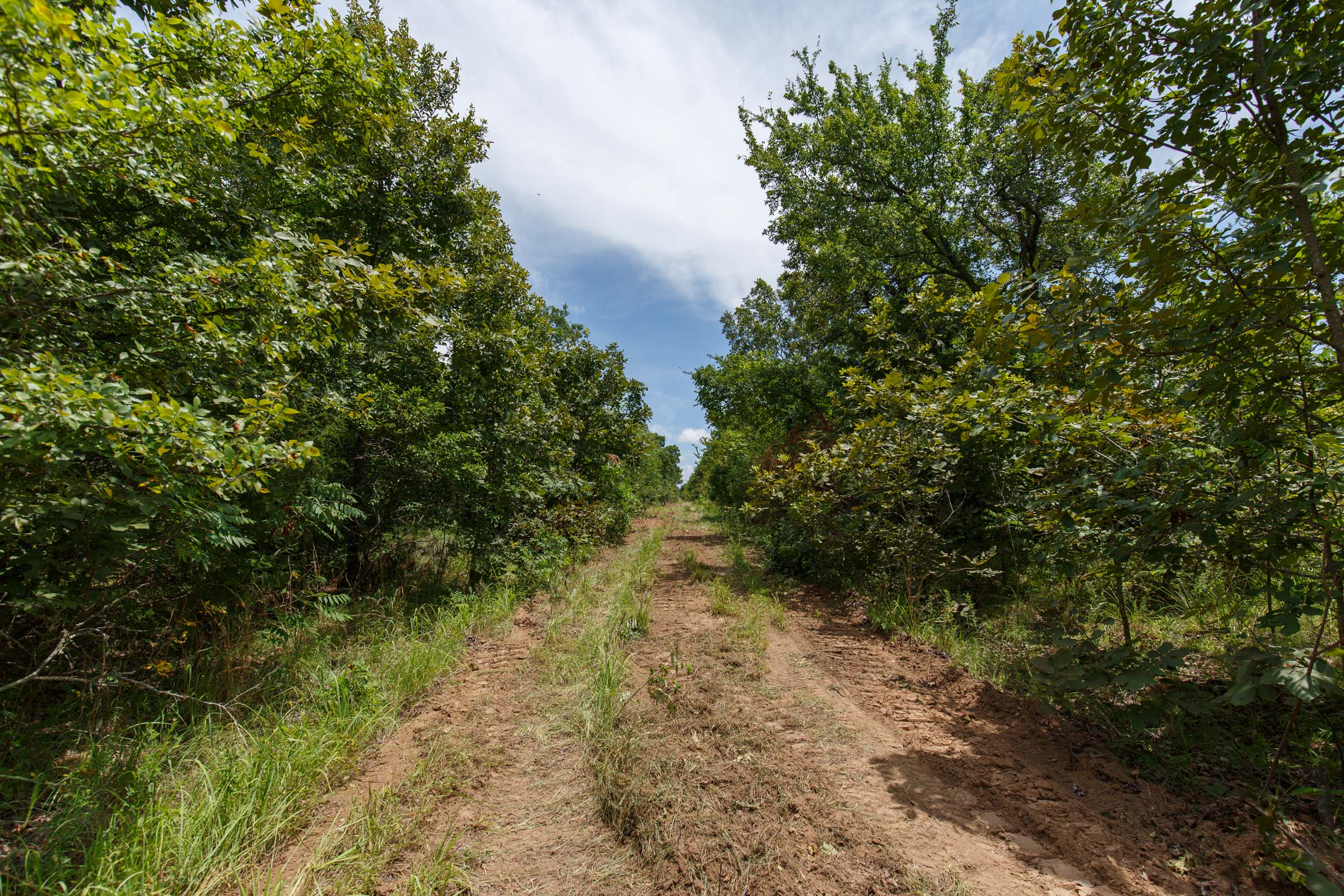 Tract 16 at Timber Ridge in McIntosh County, Oklahoma