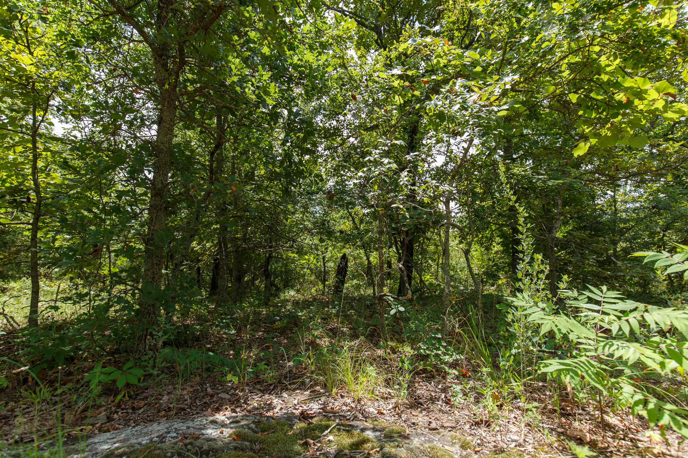 Tract 18 at Timber Ridge in McIntosh County, Oklahoma
