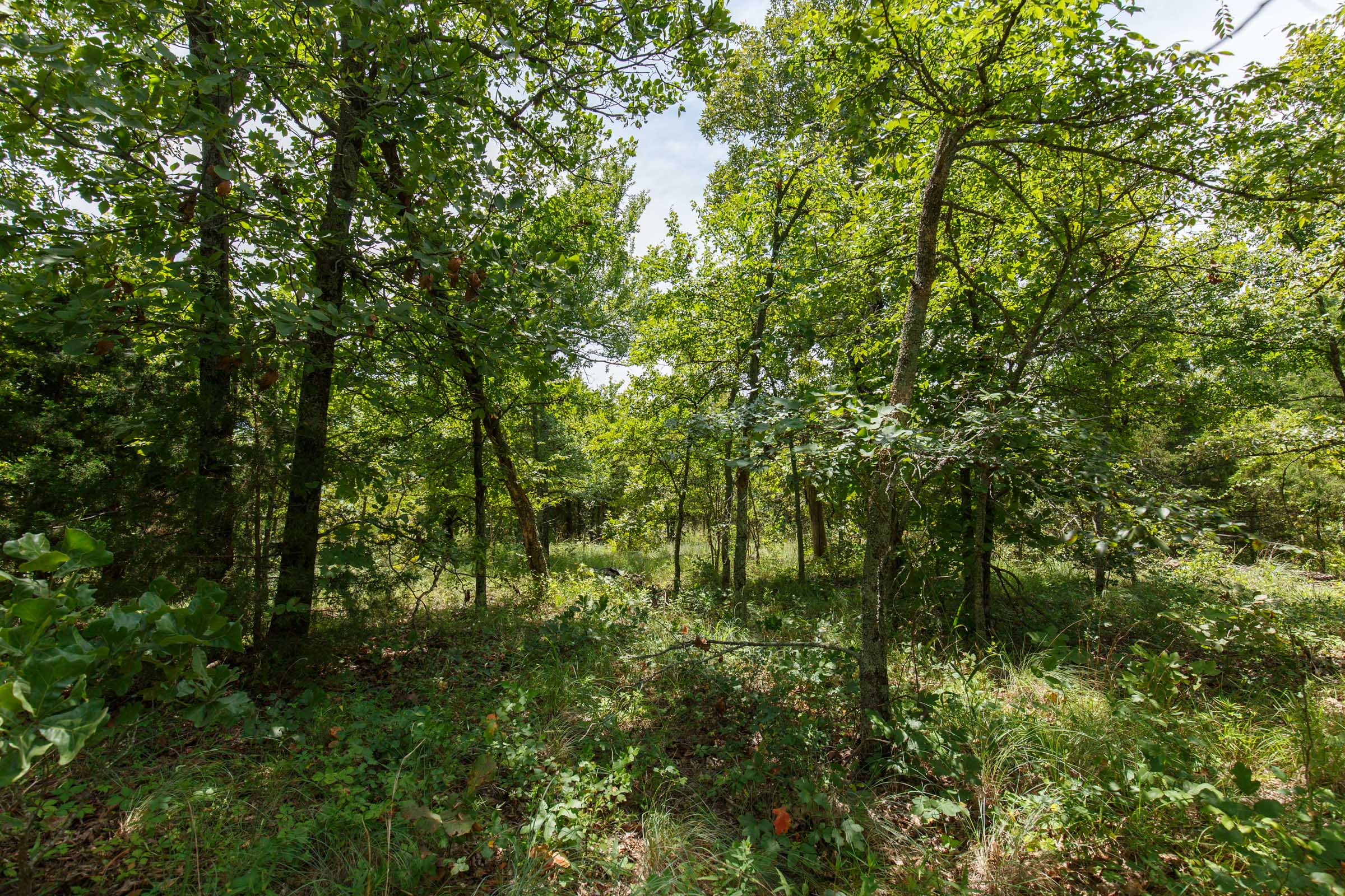 Tract 19 at Timber Ridge in McIntosh County, Oklahoma