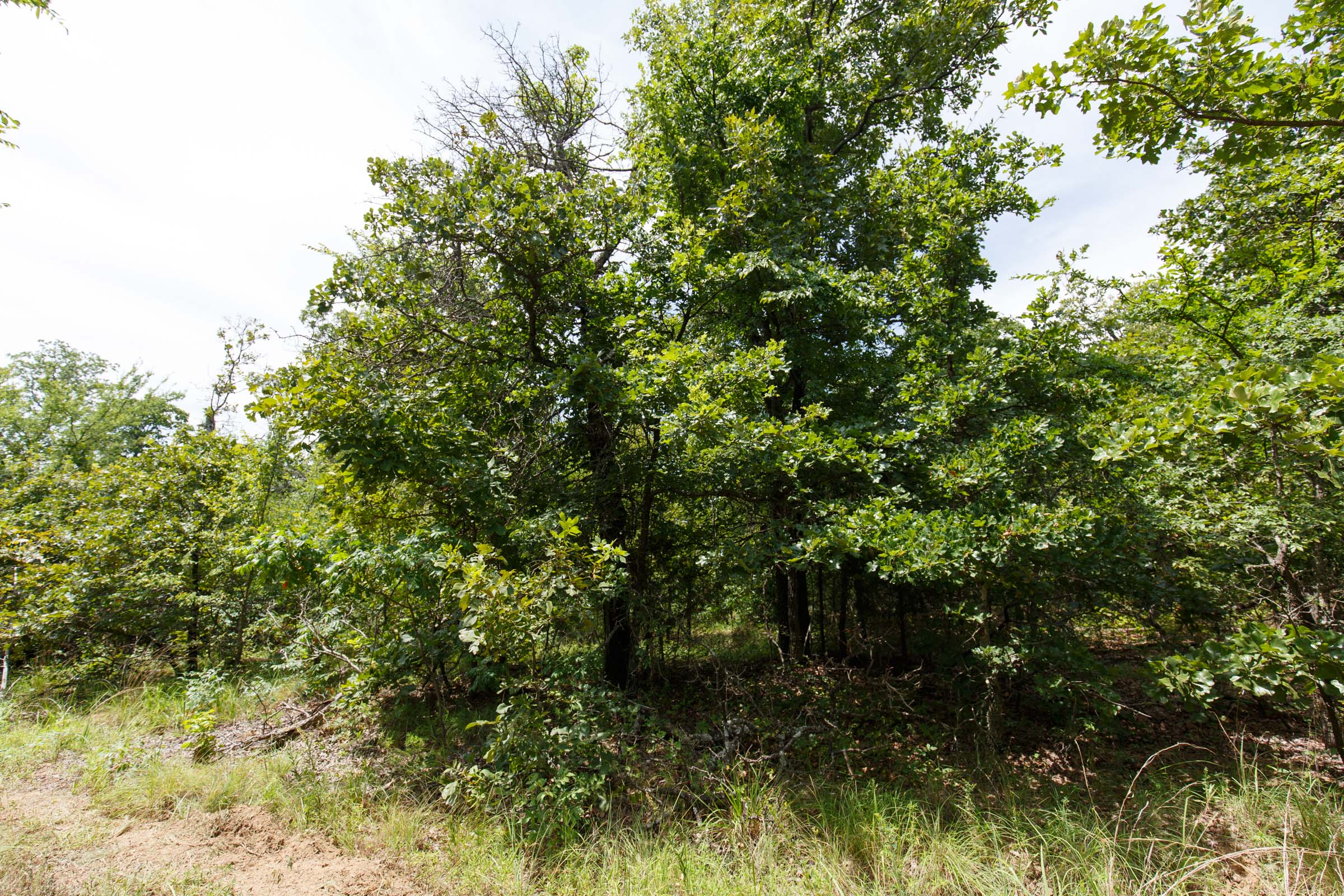 Tract 2 at Timber Ridge in McIntosh County, Oklahoma
