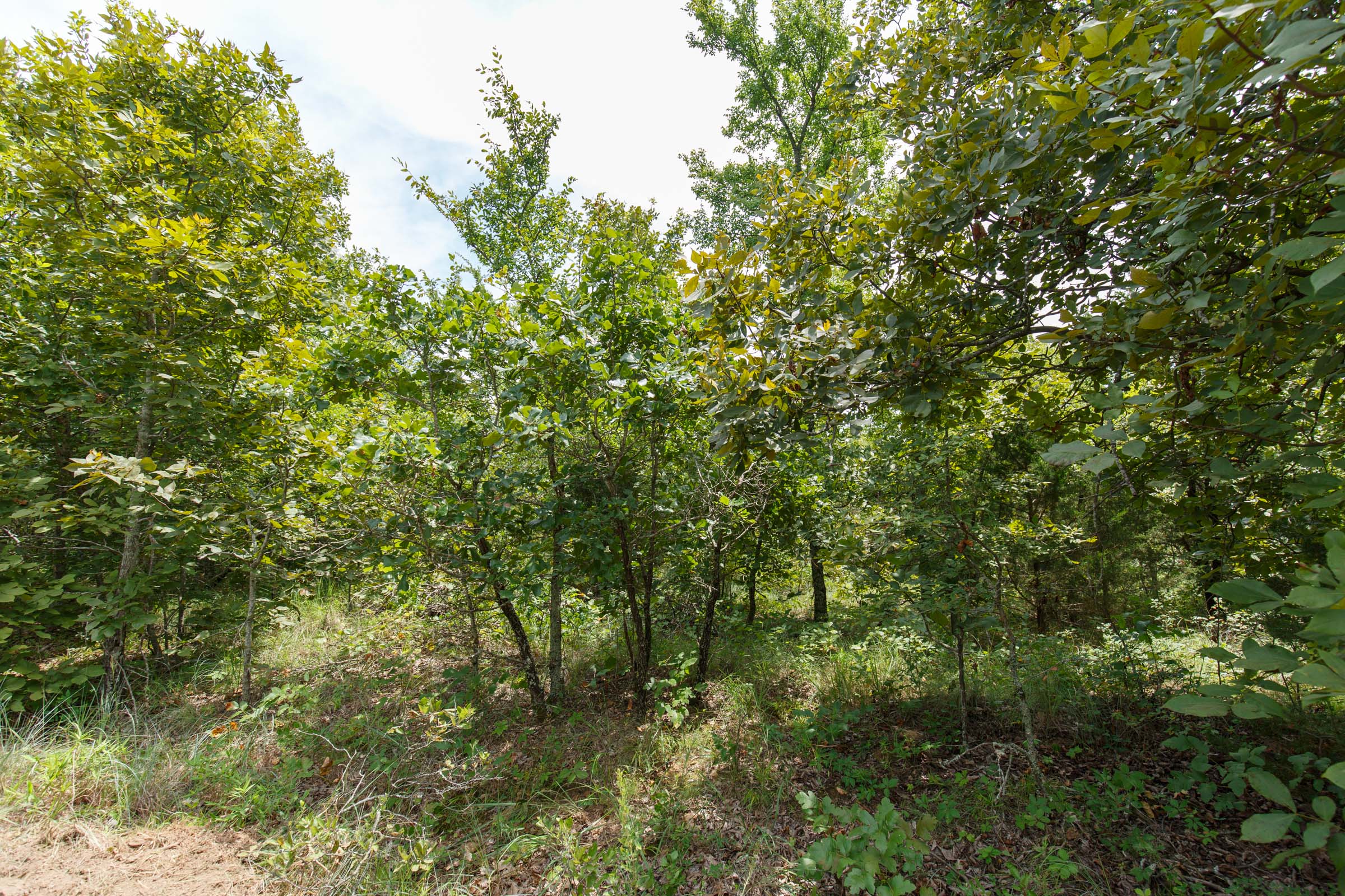 Tract 21 at Timber Ridge in McIntosh County, Oklahoma