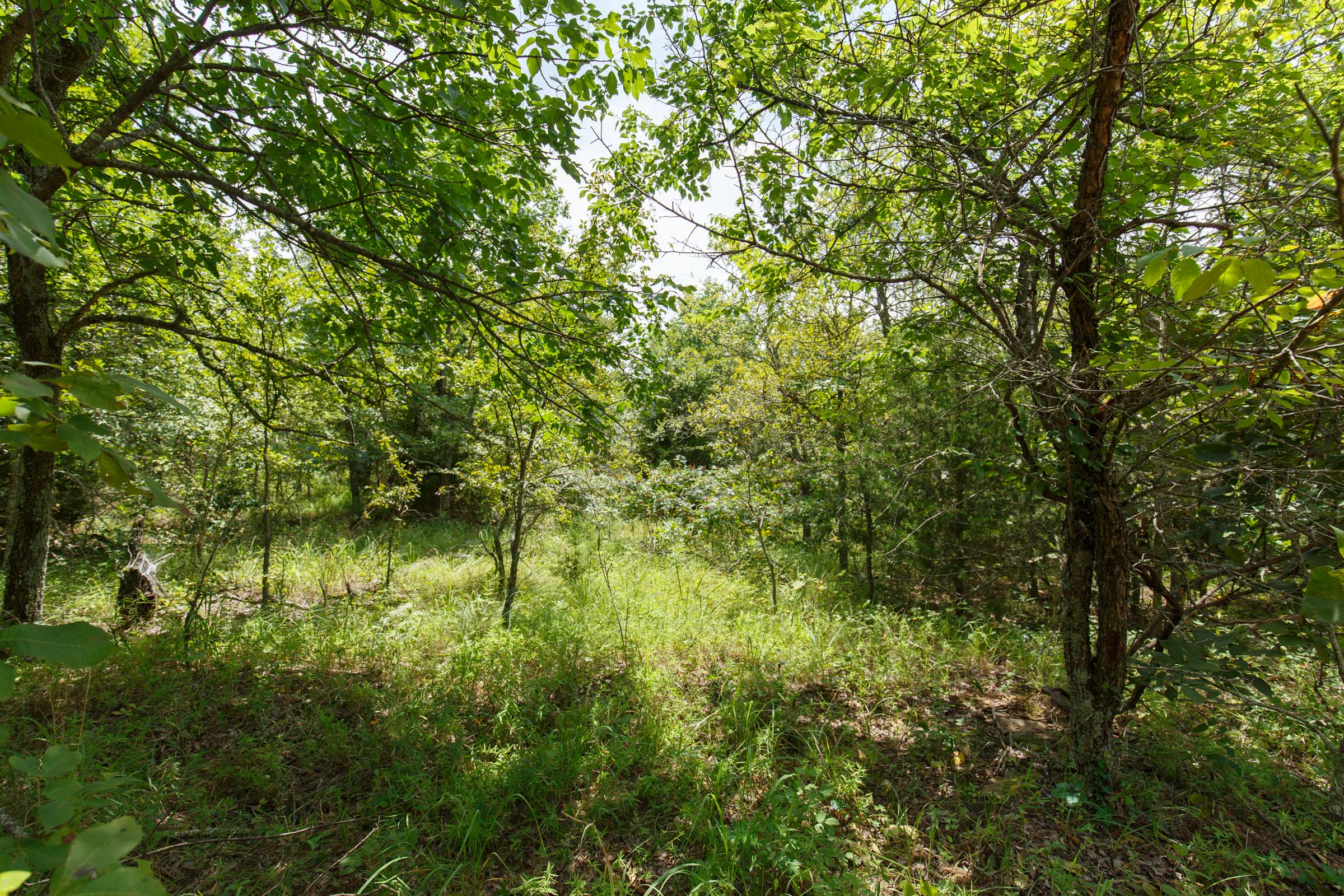 Tract 22 at Timber Ridge in McIntosh County, Oklahoma