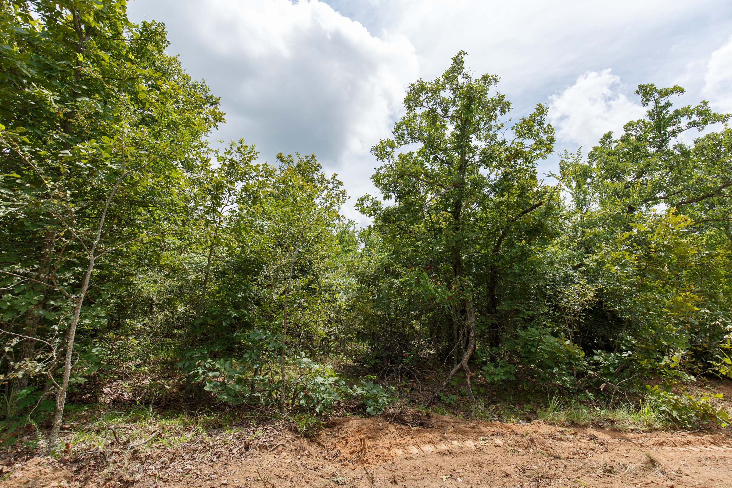 Tract 23 at Timber Ridge in McIntosh County, Oklahoma