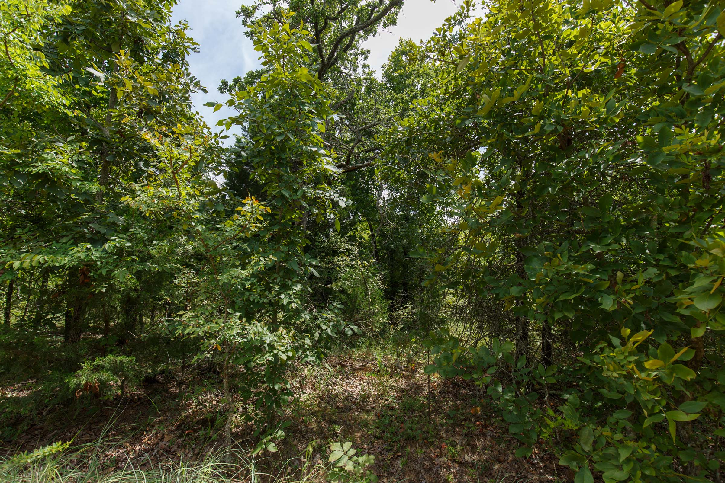 Tract 25 at Timber Ridge in McIntosh County, Oklahoma