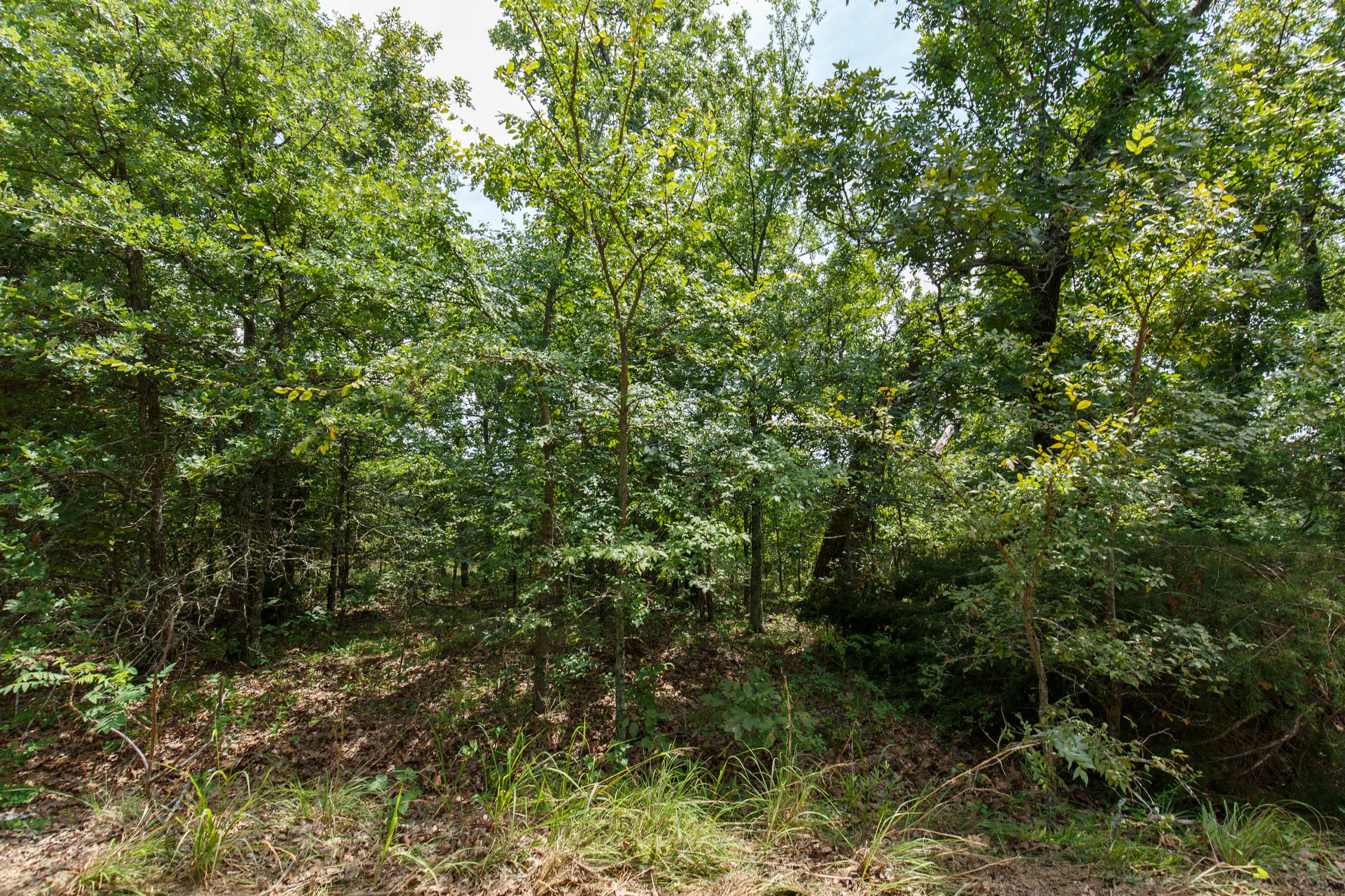 Tract 26 at Timber Ridge in McIntosh County, Oklahoma