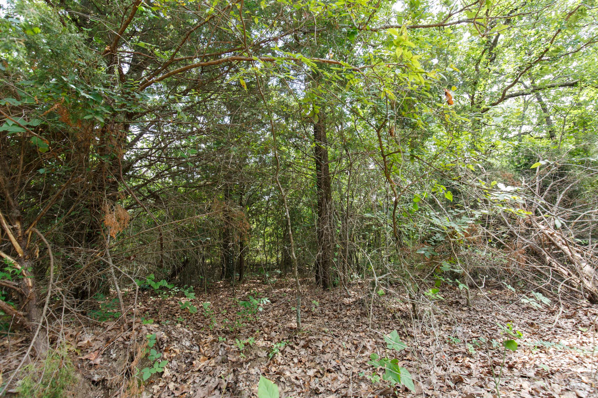 Tract 27 at Timber Ridge in McIntosh County, Oklahoma