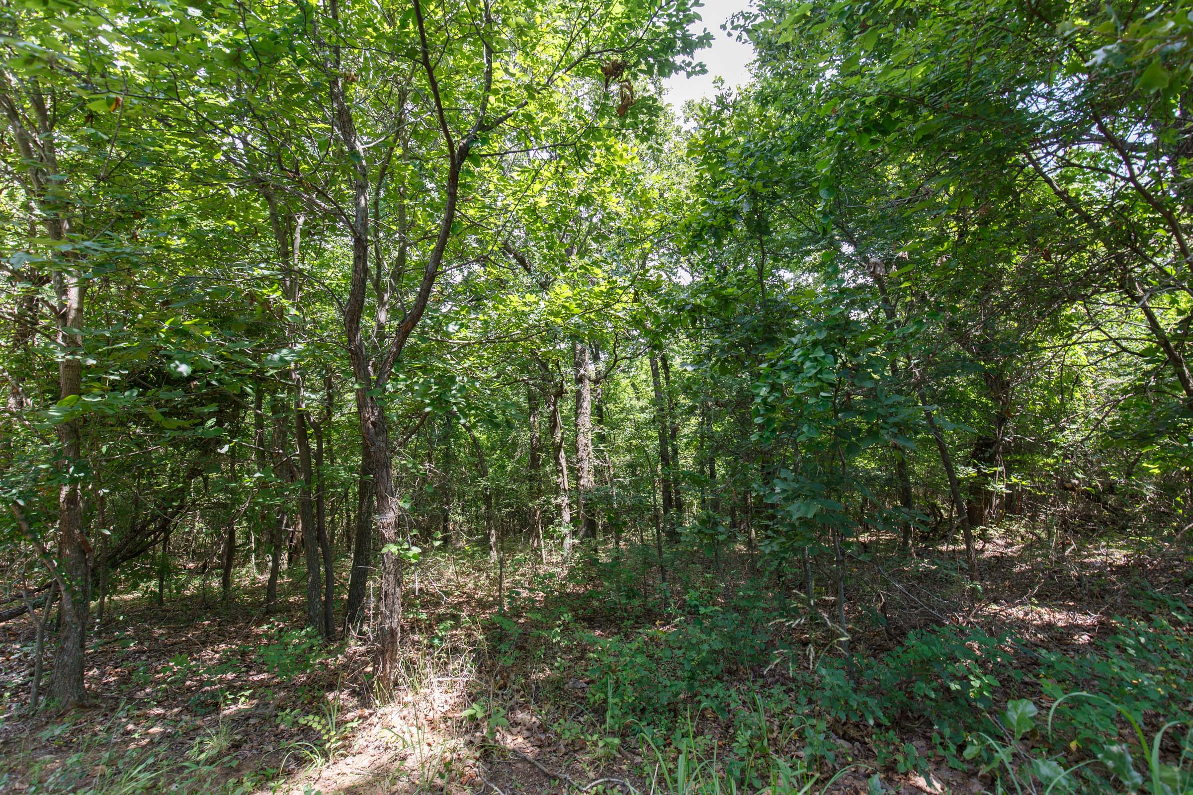 Tract 28 at Timber Ridge in McIntosh County, Oklahoma