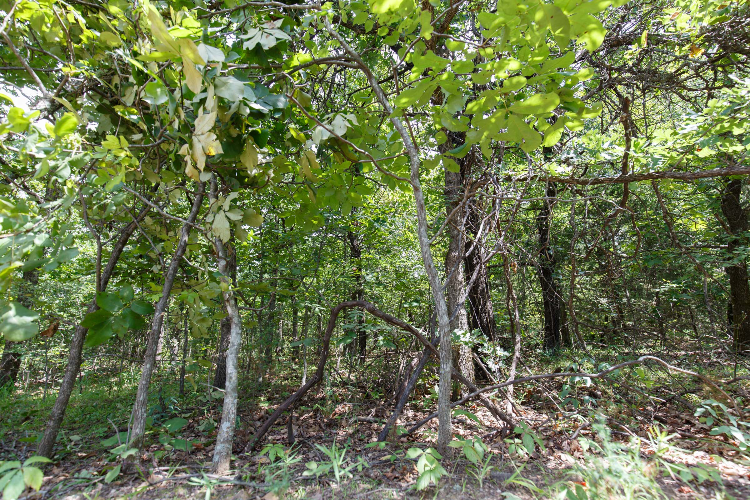 Tract 29 at Timber Ridge in McIntosh County, Oklahoma