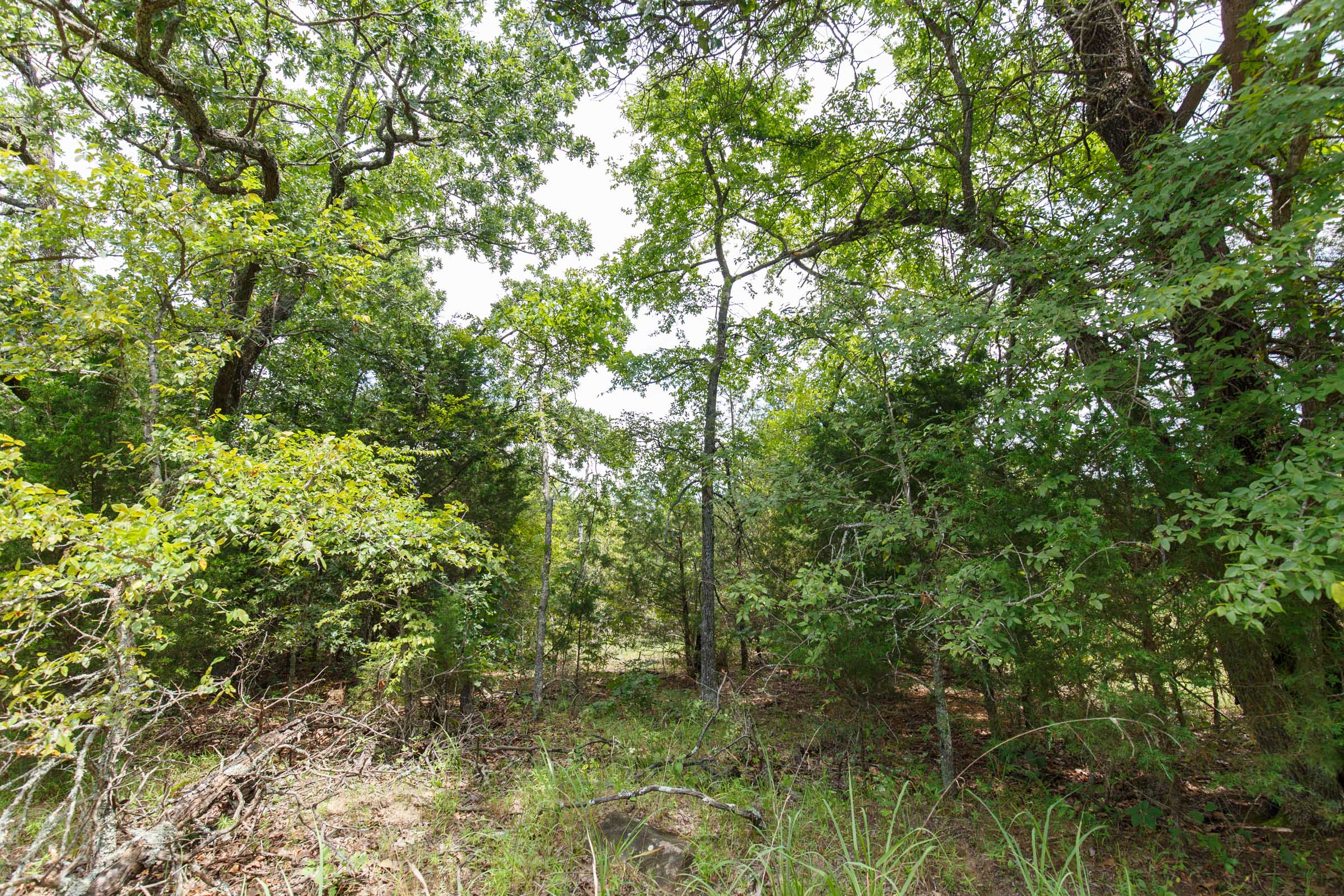 Tract 31 at Timber Ridge in McIntosh County, Oklahoma