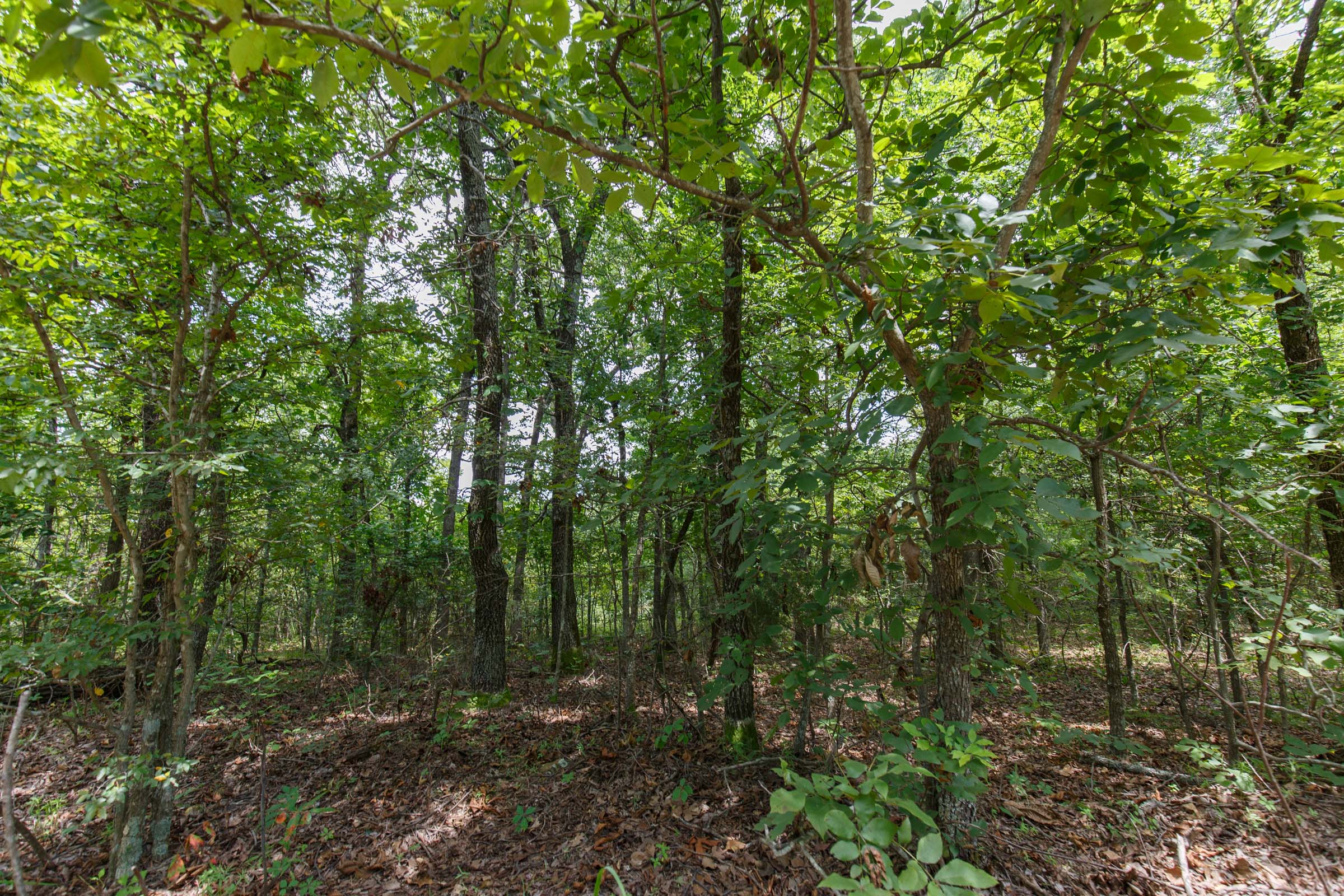Tract 32 at Timber Ridge in McIntosh County, Oklahoma
