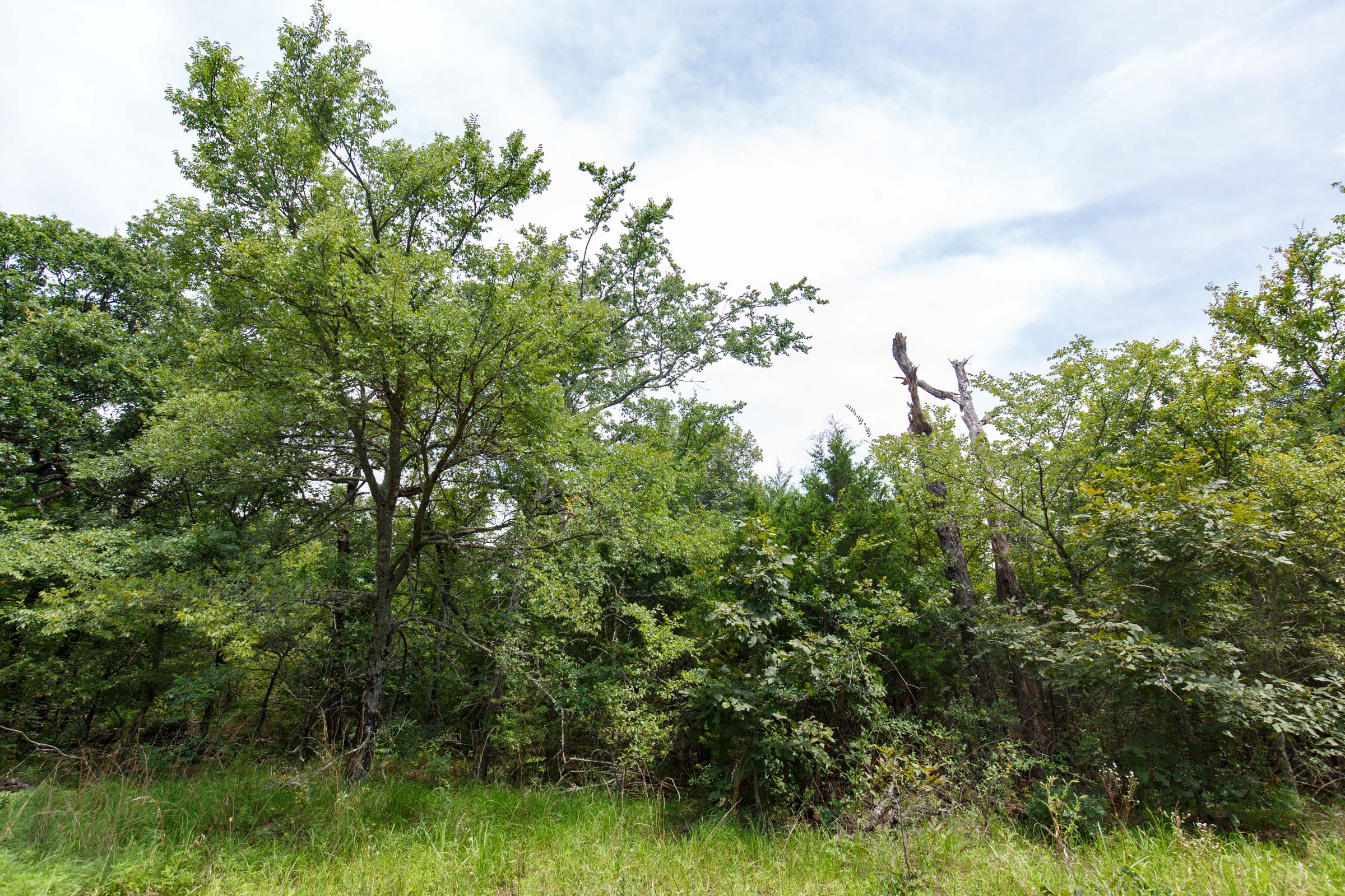 Tract 33 at Timber Ridge in McIntosh County, Oklahoma
