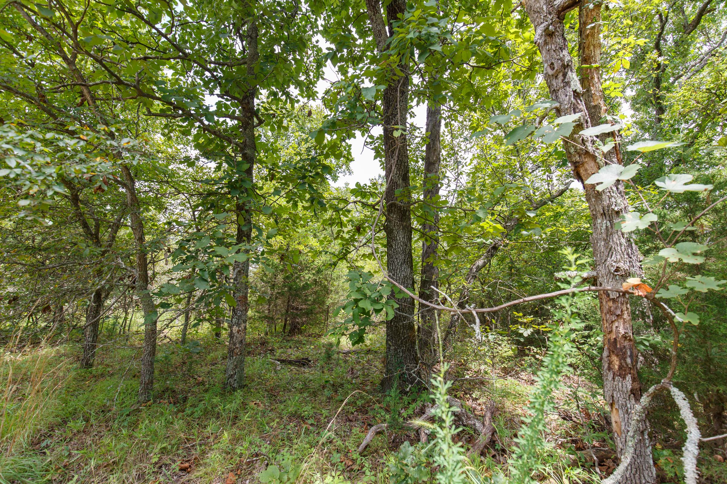 Tract 34 at Timber Ridge in McIntosh County, Oklahoma