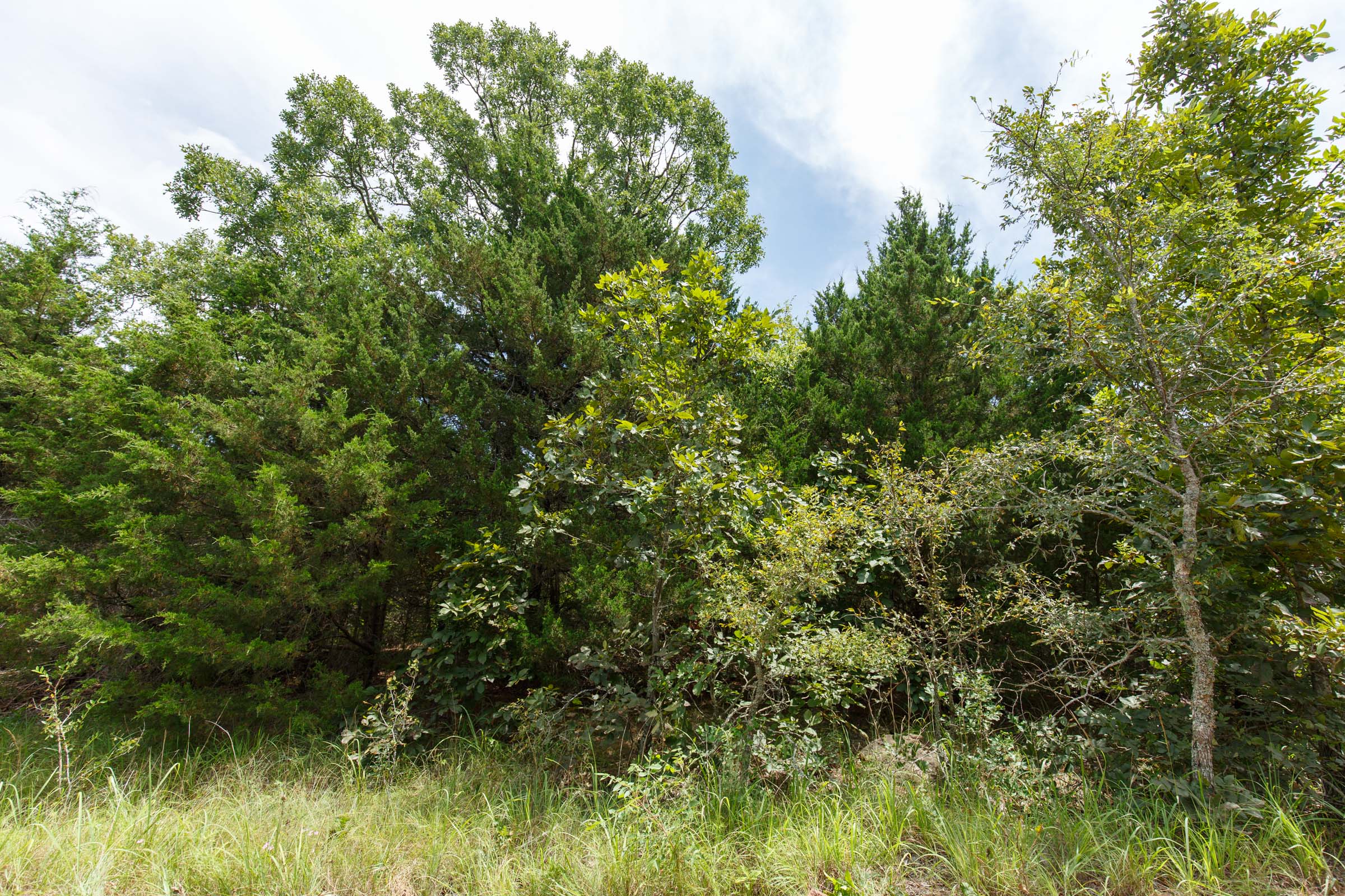 Tract 36 at Timber Ridge in McIntosh County, Oklahoma