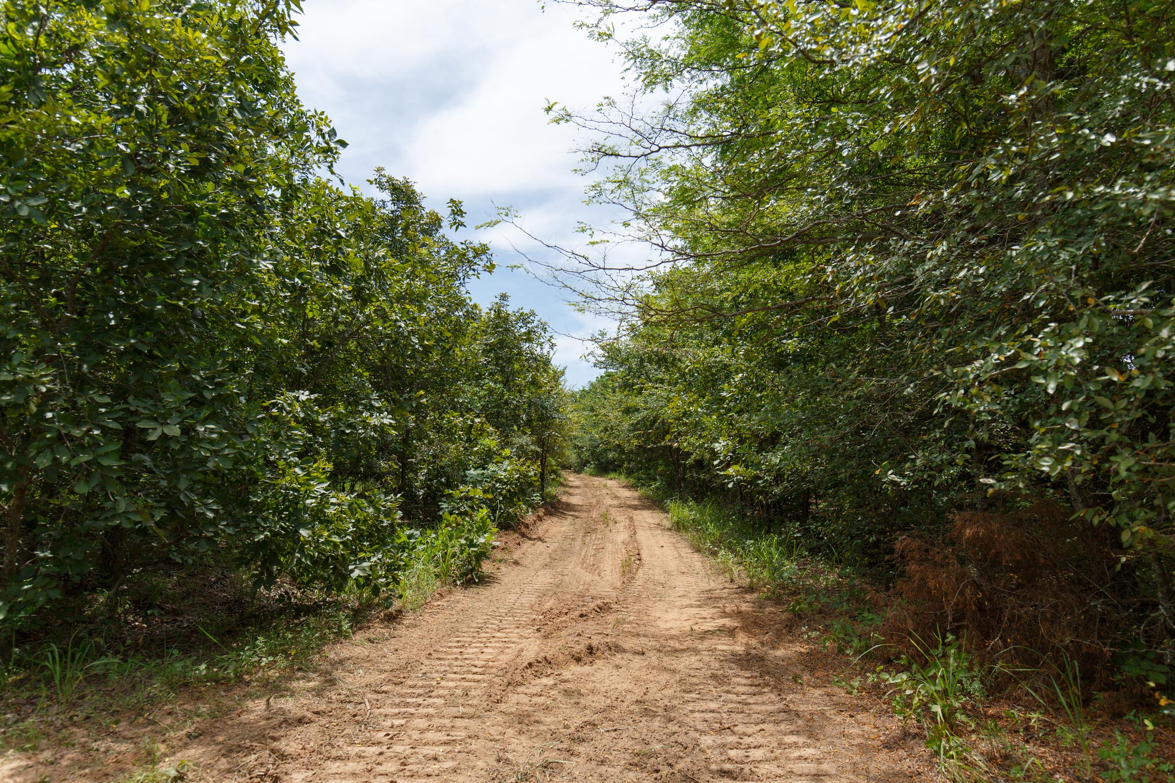 Tract 37 at Timber Ridge in McIntosh County, Oklahoma