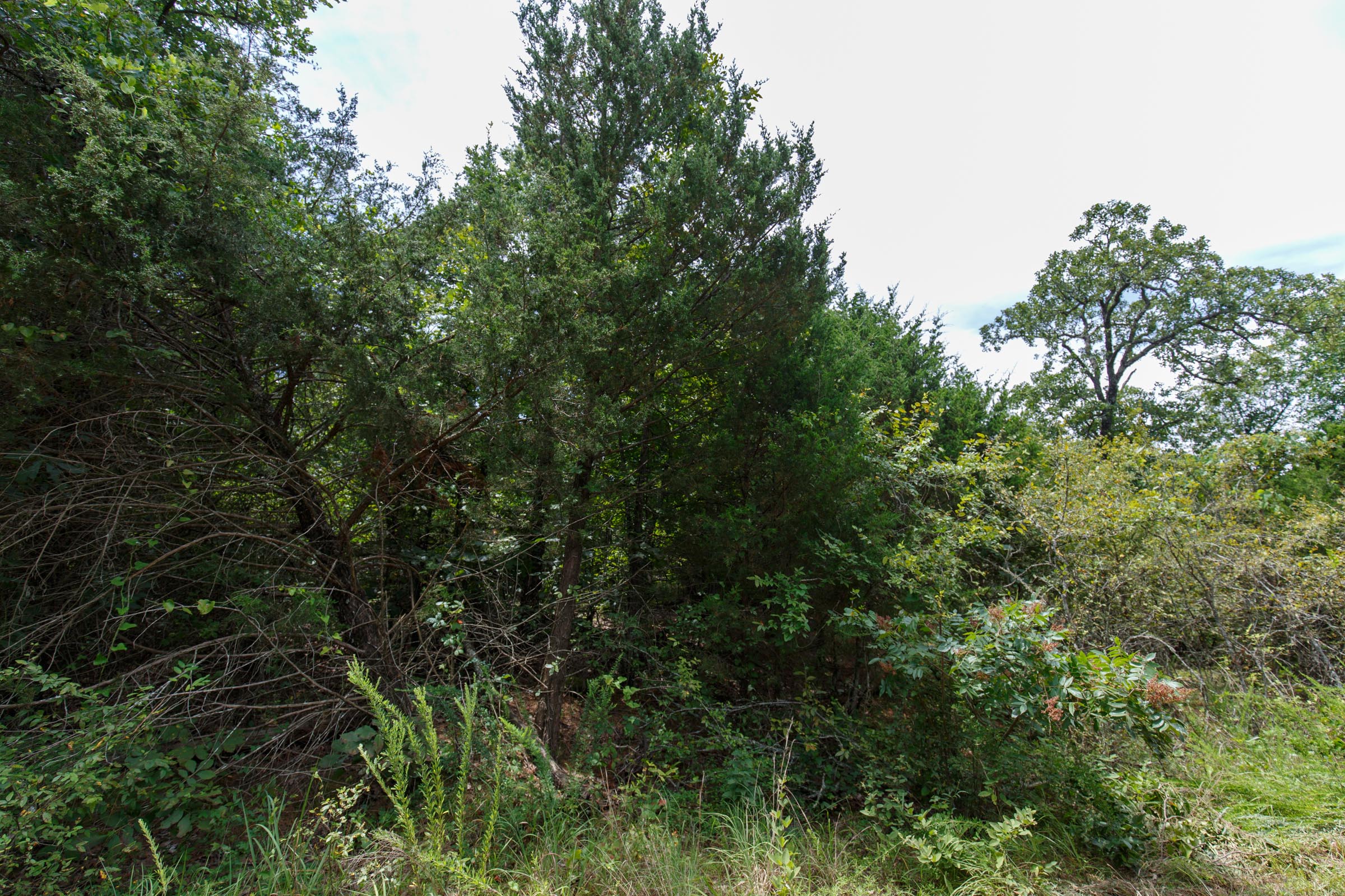 Tract 39 at Timber Ridge in McIntosh County, Oklahoma