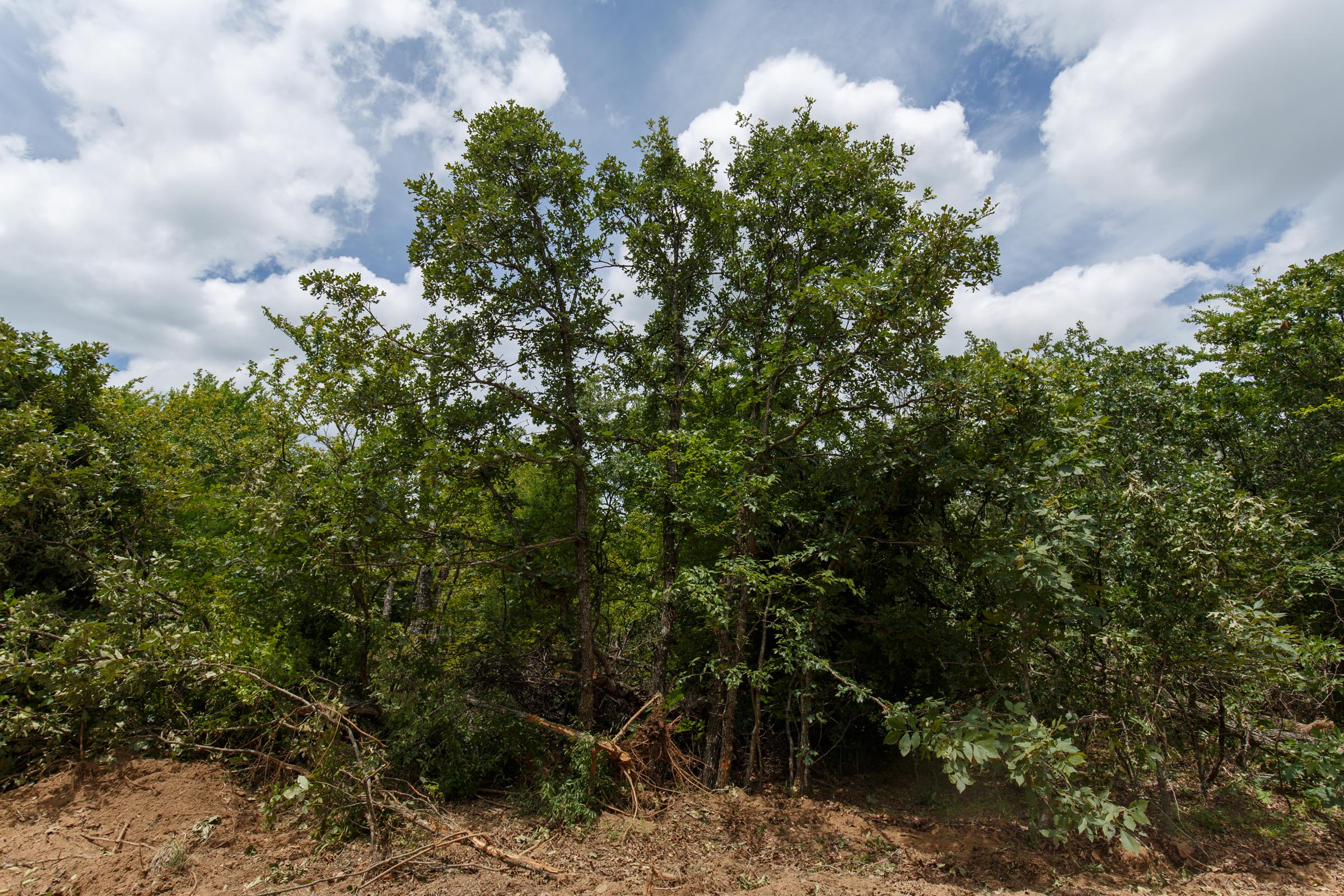 Tract 4 at Timber Ridge in McIntosh County, Oklahoma
