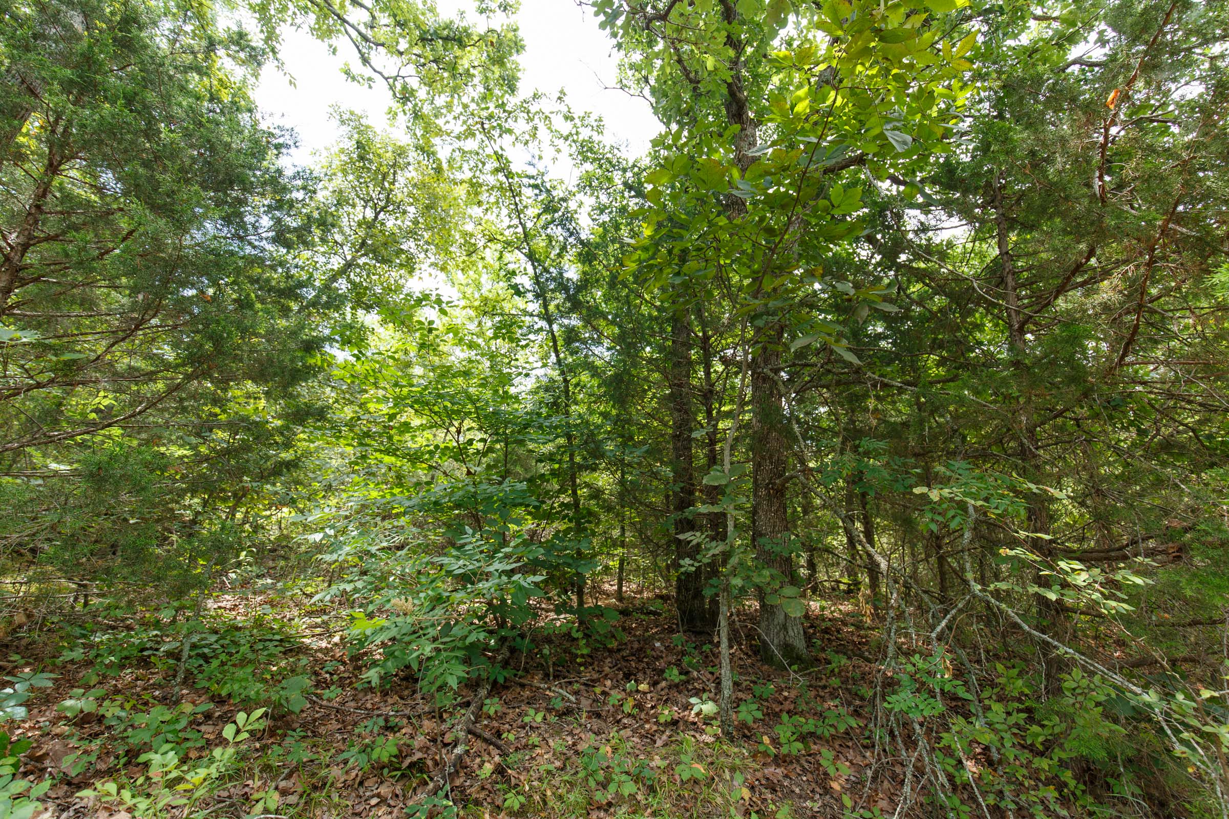 Tract 41 at Timber Ridge in McIntosh County, Oklahoma