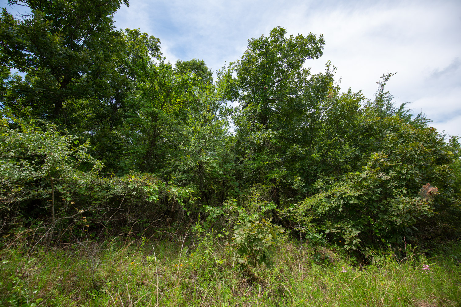 Tract 42 at Timber Ridge in McIntosh County, Oklahoma