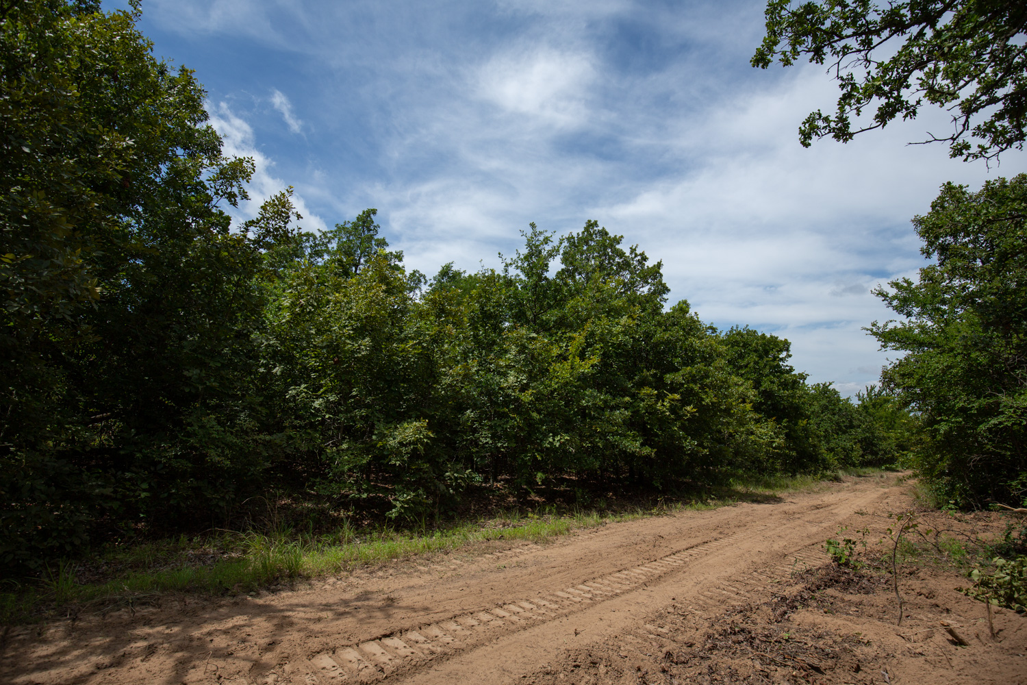 Tract 44 at Timber Ridge in McIntosh County, Oklahoma