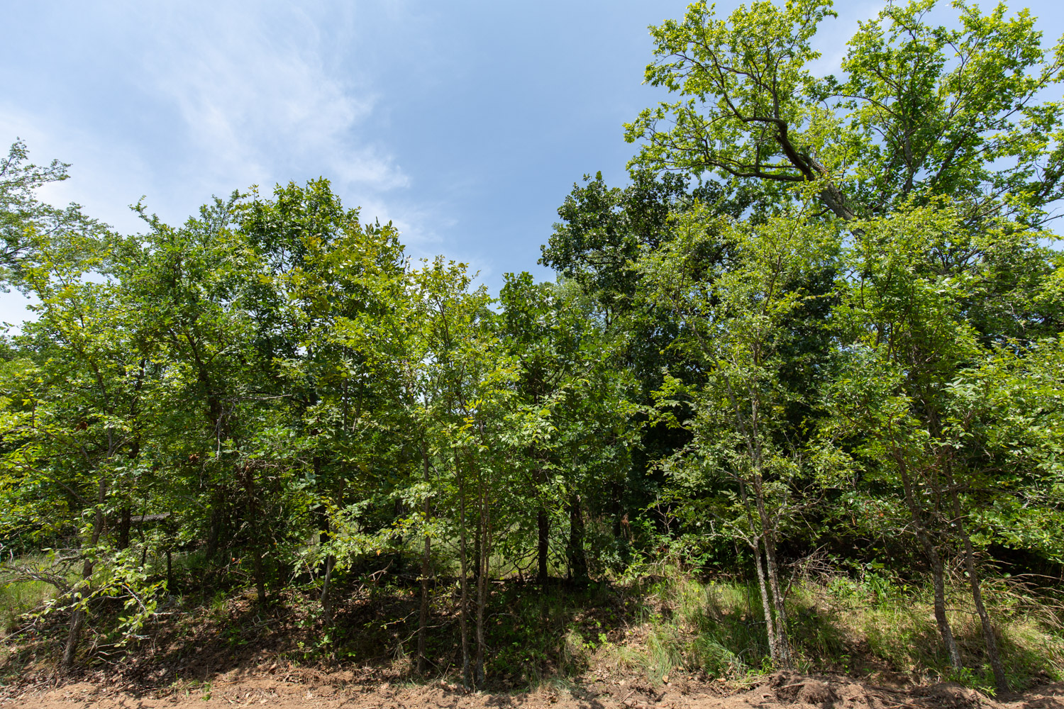 Tract 47 at Timber Ridge in McIntosh County, Oklahoma