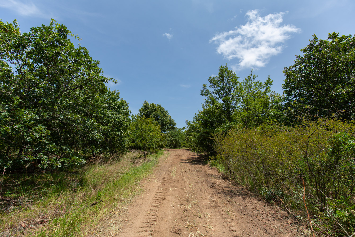 Tract 48 at Timber Ridge in McIntosh County, Oklahoma