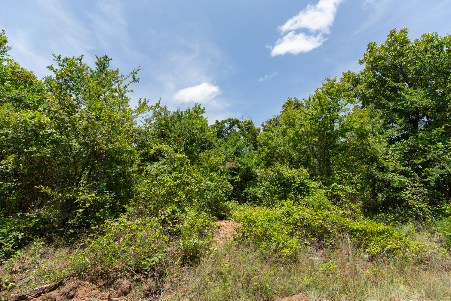 Tract 49 at Timber Ridge in McIntosh County, Oklahoma