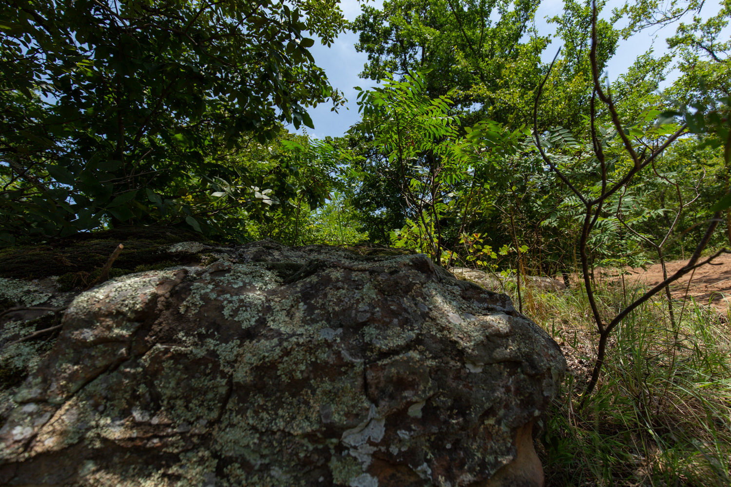 Tract 50 at Timber Ridge in McIntosh County, Oklahoma