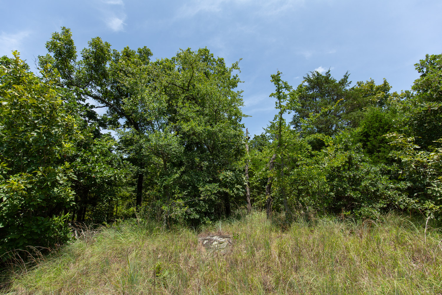Tract 51 at Timber Ridge in McIntosh County, Oklahoma