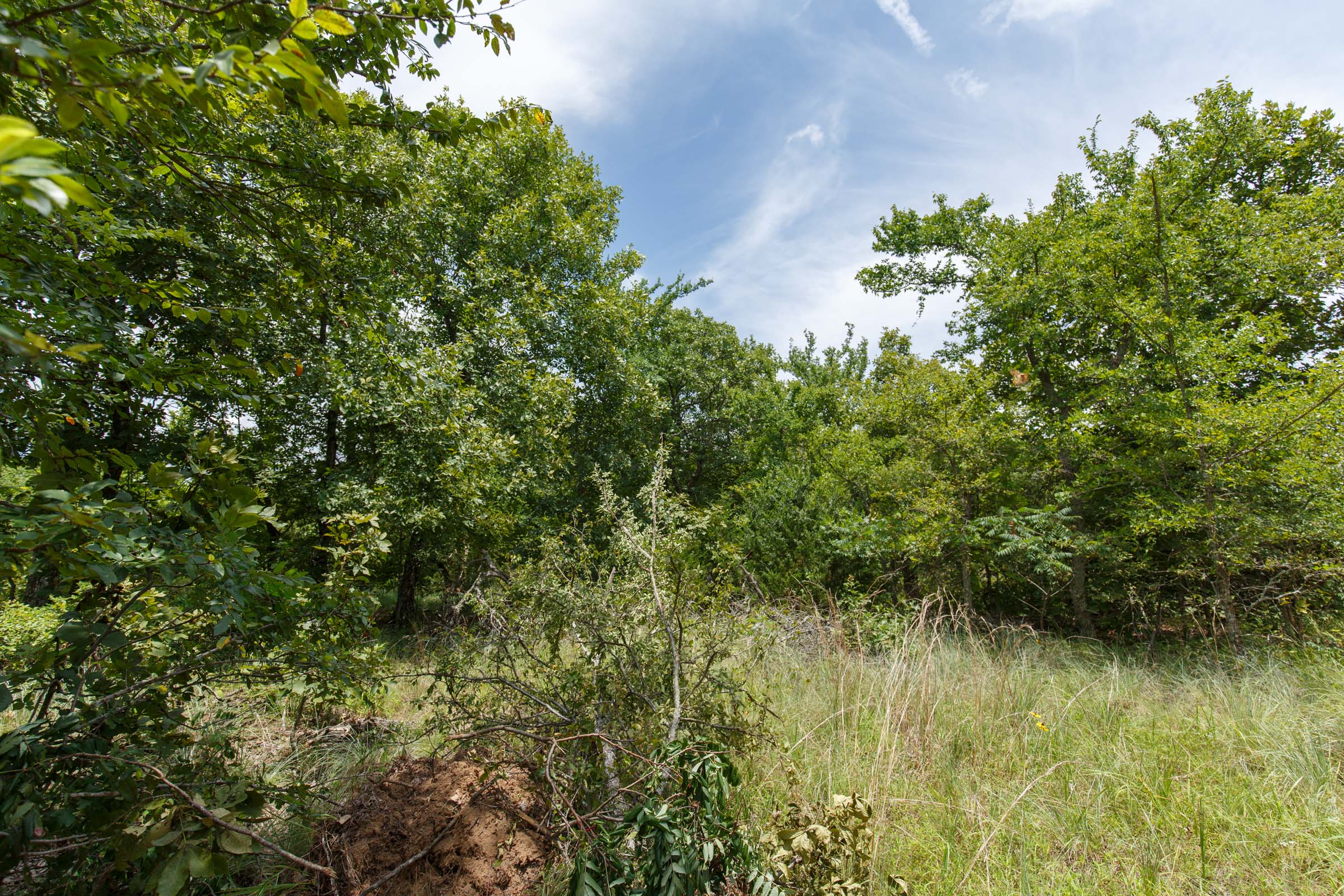 Tract 6 at Timber Ridge in McIntosh County, Oklahoma