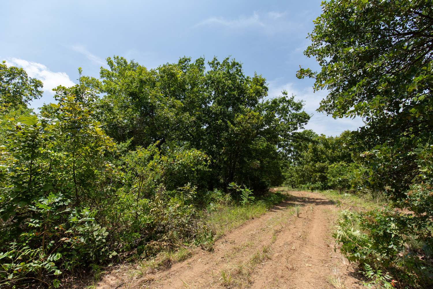 Tract 60 at Timber Ridge in McIntosh County, Oklahoma