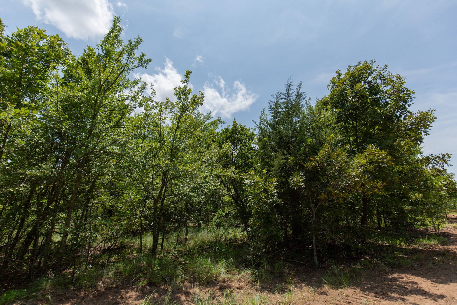 Tract 62 at Timber Ridge in McIntosh County, Oklahoma