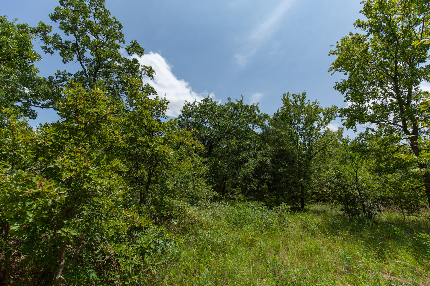 Tract 63 at Timber Ridge in McIntosh County, Oklahoma