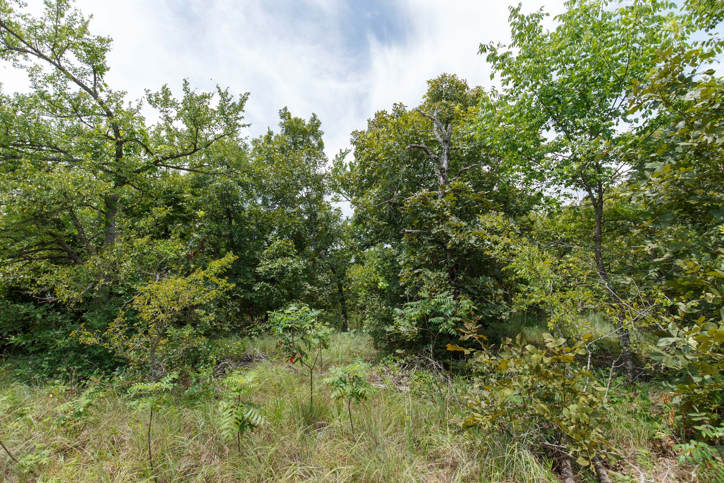Tract 7 at Timber Ridge in McIntosh County, Oklahoma