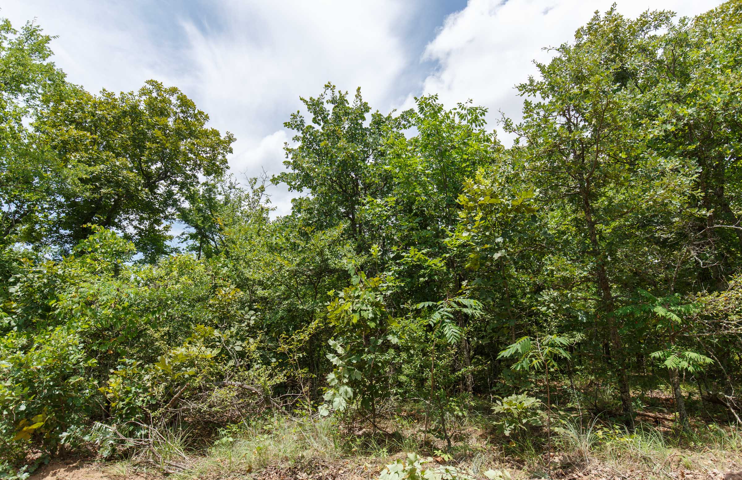 Tract 8 at Timber Ridge in McIntosh County, Oklahoma