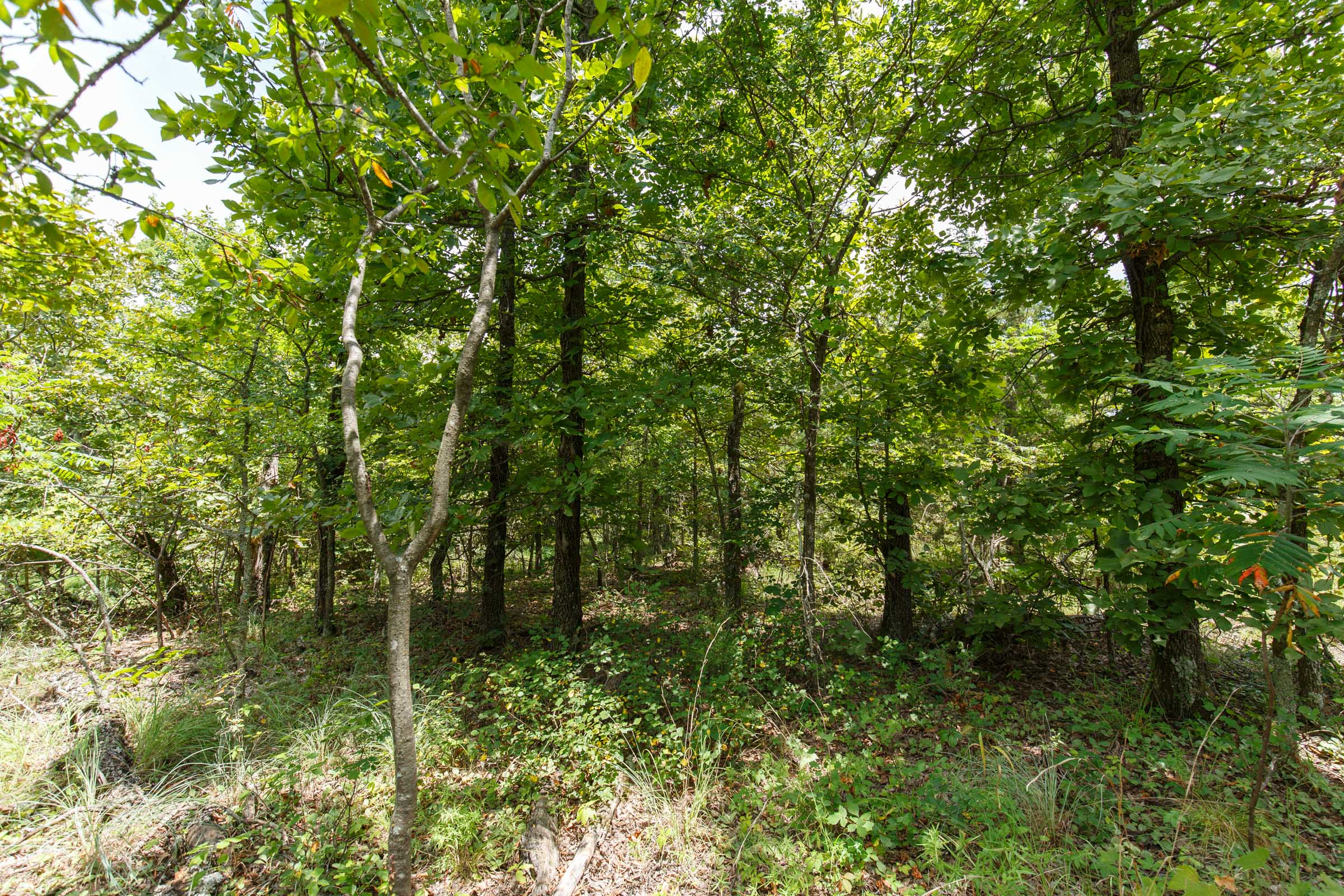 Tract 9 at Timber Ridge in McIntosh County, Oklahoma